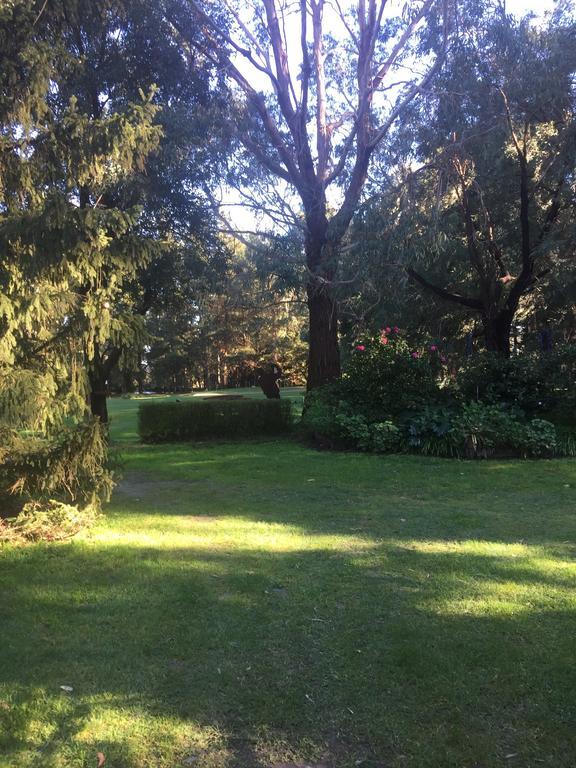 Sherwood Park Bed And Breakfast Somerville Exterior foto